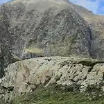 Les Ours Bruns *